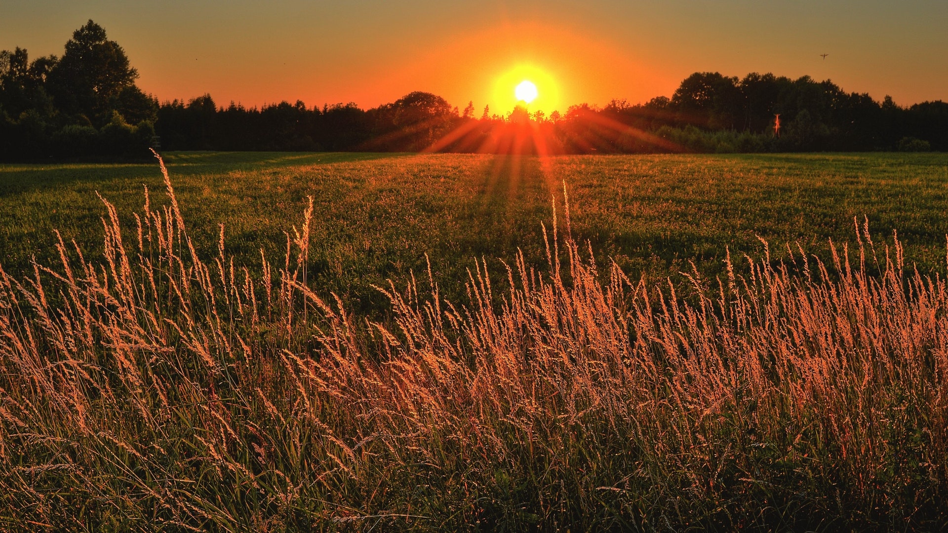 New dawn in cancer treatment